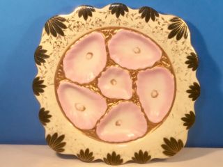 Oyster Plate Antique Pink,  Gold,  Cream,  Deep Green Porcelain C.  1800’s,  Op463