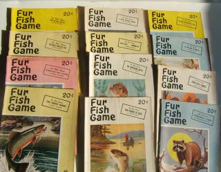 12 Vintage 1955 Fur,  Fish & Game Magazines Full Year 12 Months