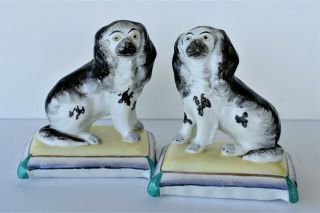 Pair Antique Victorian Staffordshire Spaniel Dogs On Cushions