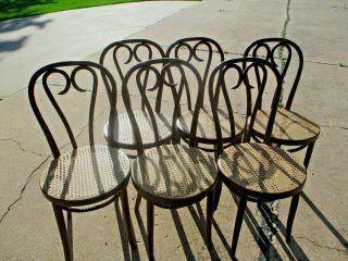 6 Thonet Bentwood Parlor Cafe Dining Chairs Heart - Shaped Cane Backs Early 1900 