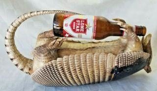 Vintage Real Taxidermy Lone Star Beer Drinking Armadillo Drunken Humorous Texas