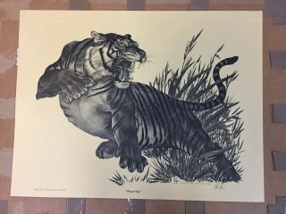 Lsu Bengal Tiger Poster Print Vintage Rare Unique 1970 1973 Gore Signed Alum
