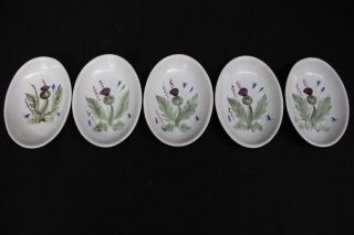 5pc Vintage Buchan Stoneware Pottery Thistleware 6.  5 " Oval Relish Dish Tray 249