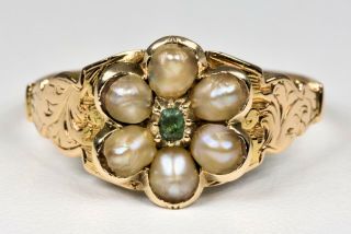 Antique Georgian 18ct Gold Emerald & Pearl Forget Me Not Memorial Ring,  C1820