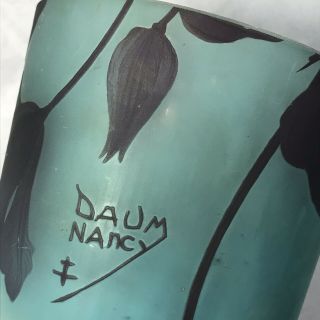 Masterpiece Antique Daum Nancy Cameo Glass Vase France 11 3/8” Rare 7