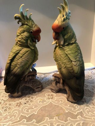 Vintage Andrea By Sadek Porcelain Parrot Cockatoo Bird Figurines