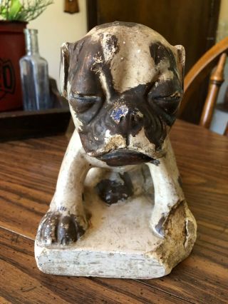 Vintage Antique Watta Pop Chalkware Lolly Pop Store Display Old French Bull Dog