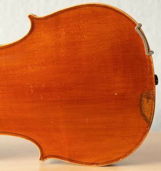 old violin 4/4 geige viola cello fiddle label GIOVANNI PISTUCCI 10