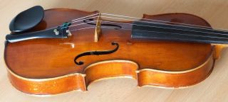 old violin 4/4 geige viola cello fiddle label GIOVANNI PISTUCCI 12
