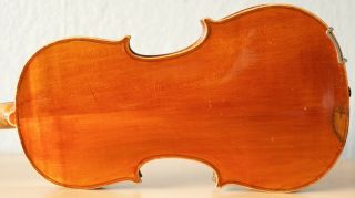 Old Violin 4/4 Geige Viola Cello Fiddle Label Giovanni Pistucci