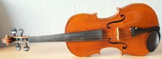 old violin 4/4 geige viola cello fiddle label GIOVANNI PISTUCCI 2