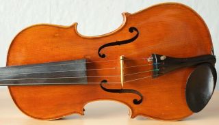 old violin 4/4 geige viola cello fiddle label GIOVANNI PISTUCCI 3