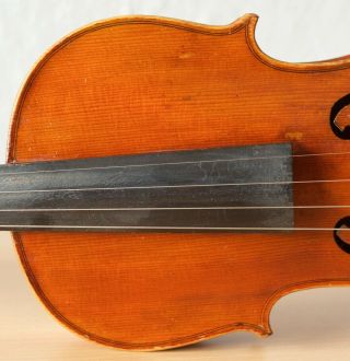 old violin 4/4 geige viola cello fiddle label GIOVANNI PISTUCCI 4