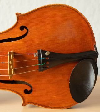 old violin 4/4 geige viola cello fiddle label GIOVANNI PISTUCCI 6