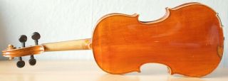 old violin 4/4 geige viola cello fiddle label GIOVANNI PISTUCCI 7