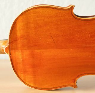 old violin 4/4 geige viola cello fiddle label GIOVANNI PISTUCCI 8