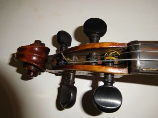 Very old Vintage violin labelled Carlo Testore with case 11