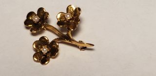 Antique 14k Gold Pin - Brooch - Flower - Tiny Pearls - 1.  25in - 2.  8 Dwt