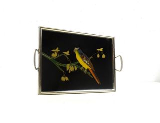 Stunning Rare Large Art Deco Cocktail Serving Tray Parrot Bird 1930 Antique