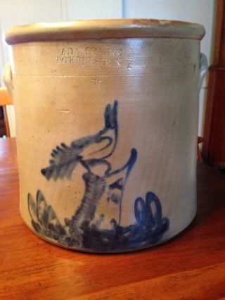 Antique Stoneware Crock Cobalt Bird - On - Stump Decorated Adamcaire Pougheepsie N.  Y