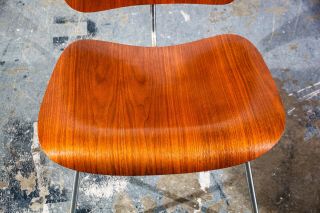 Mid Century Modern Side Chair DCM Herman Miller Charles Eames Walnut 1950 - 1954 7