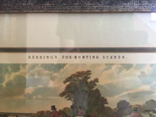 Vintage Print HERRING ' S FOX HUNTING SCENES.  JF Herring Framed Set Of Four 11