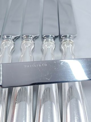 Tiffany & Co.  Shell & Thread 1905 Sterling Silverware Dinner Knife Set of 6 6