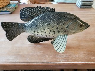 Rick Whittier Wood Ice Spearing Decoy Rare Crappie 12 " Long