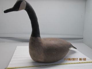 Vintage Canvas Over Wood Body Full Size Canadian Goose Decoy