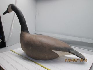 Vintage Canvas over Wood Body Full Size Canadian Goose Decoy 2