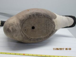 Vintage Canvas over Wood Body Full Size Canadian Goose Decoy 7