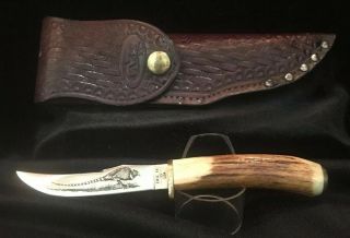 Vtg Case Xx Usa 523 3 1/4 Ssp Stag Horn Fixed Blade Knife Pheasant Engraved