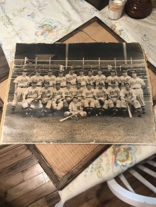 Rare Antique Vintage Memphis Chicks Minor League Baseball Team Photo Mlb