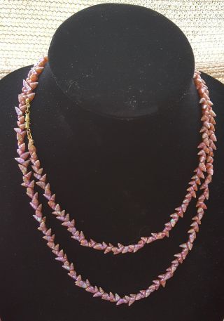 Vintage Australian Maireener Aboriginal Tasmanian Shell Necklace - Pink - 40 "