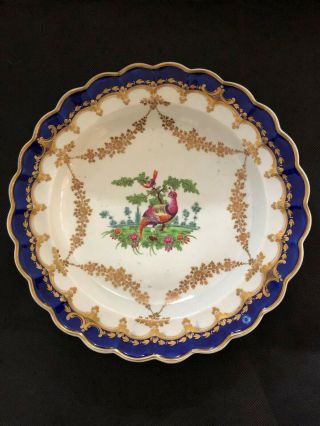 Dr Wall First Period Worcester Exotic Birds Scalloped Plate C1770