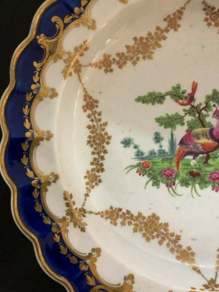 Dr Wall First Period Worcester Exotic Birds Scalloped Plate c1770 4