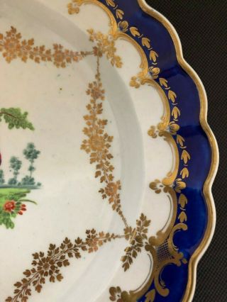 Dr Wall First Period Worcester Exotic Birds Scalloped Plate c1770 5