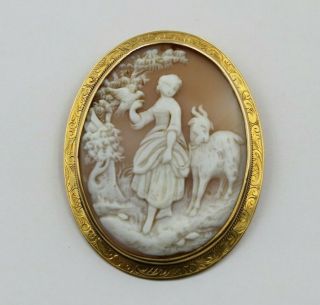 Antique Victorian 14k Gold Carved Shell Cameo Brooch Pin