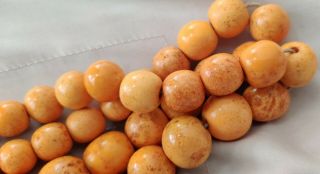 Antique German Pressed Amber Necklace Beads Natural Baltic 77g 5