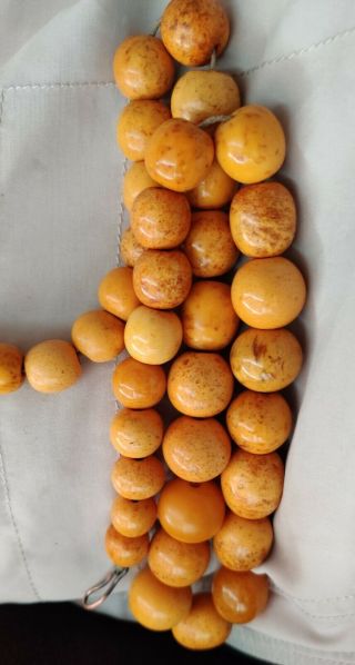 Antique German Pressed Amber Necklace Beads Natural Baltic 77g 9