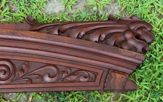 Large Antique 19thC Hand Carved Walnut Architectural Crest w/ Lion Heads 7