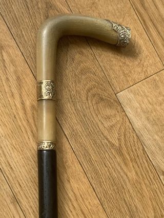 Vintage Walking Stick Horn Handle 1900 Golf Inscription
