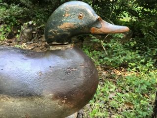 Antique vintage old wooden Early Mason Premier Mallard duck decoy 2
