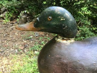 Antique vintage old wooden Early Mason Premier Mallard duck decoy 6