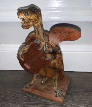 Rare Find Vintage Souvenier Taxidermy Turtle Playing A Guitar & Singing Vg