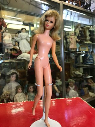 1966 Mattel Barbie TNT Francie Doll with Accessories 3