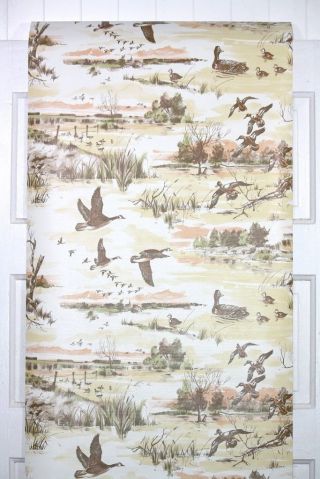 1970s Novelty Vintage Wallpaper Flying Canadian Geese and Ducks 2