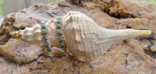 Rare Vintage Hattie Carnegie Large Sea Shell Pin With Turquoise Stones