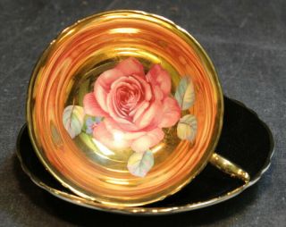 Vintage Paragon Large Cabbage Rose On Gold Black Cup And Saucer