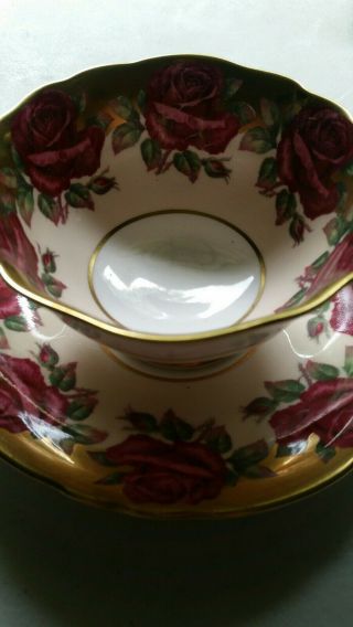 Vintage Paragon Red Cabbage Roses and Gold Gilt Bone China Tea Cup & Saucer 3